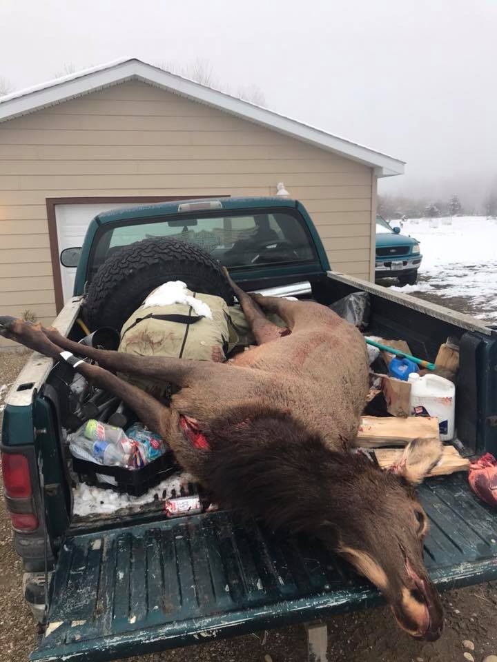 Hunting trophy